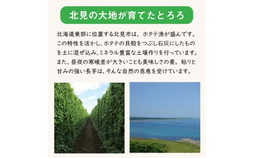 ところのとろろ 5個入り ( 長芋 長いも すりおろし 手作業 数量限定 国産 とろろ蕎麦 ご飯 常呂 )【121-0004】