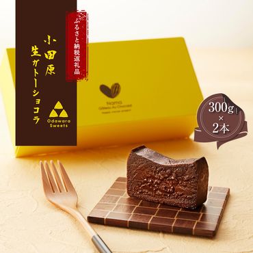 幸せの生ガトーショコラ ミニサイズ 2本セット チョコ チョコレート