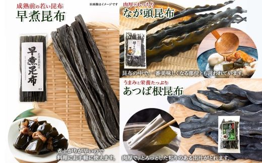 北海道産 昆布 5点 セット 日高昆布 早煮きざみ昆布 早煮昆布 なが頭昆布 あつば根昆布 こんぶ 出汁 国産 コンブ 高級 出汁 だし昆布 詰め合わせ 保存食 乾物 無地熨斗 熨斗 のし 北連物産 きたれん 北海道 釧路町 釧路超 特産品 121-1926-88