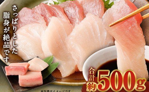 【訳あり】 厳選 トロびんちょうマグロ 約500g　ge014