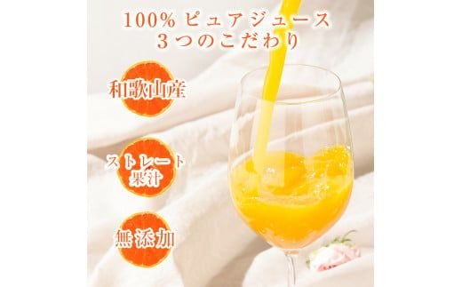 伊藤農園 100％ピュアジュース みかんしぼり750ml×9本（A636-3）