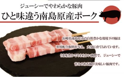 【6回定期便】【おうちで 焼き鳥 屋さん！】 串焼き 盛り合わせ 6種類 30本セット 南島原市 / ふるさと企画 [SBA025]