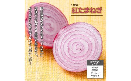 【予約：2024年10月上旬から順次発送】北海道 JAきたみらい「たまねぎ・紅玉ねぎセット」9kg ( 期間限定 野菜 たまねぎ 玉葱 )【005-0021-2024】