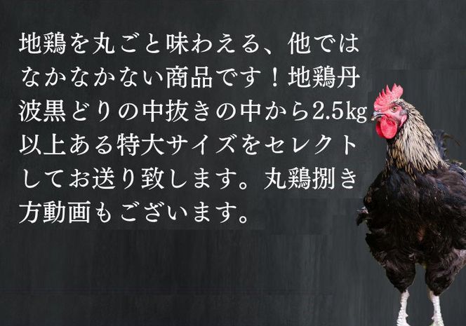 【訳あり 緊急支援】地鶏 丹波黒どり 丸どり 中抜き 丸1羽 約2.5kg＜京都亀岡丹波山本＞業務用 特大サイズ《特別返礼品 鶏肉 丸ごと 1羽》◇