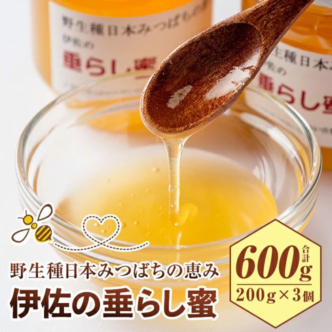 C0-05 ＜数量限定＞伊佐の垂らし蜜(600g・200g×3個) 野生種日本ミツバチが集めた貴重な蜂蜜！ゆず畑に囲まれた地域で採れた爽やかな味わいのハチミツ【ゆず香房】