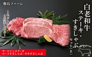 白老和牛ステーキ・すきしゃぶセット（B）《敷島ファーム》 BF006 
