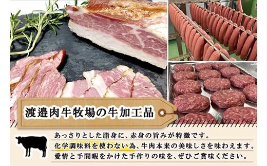 北海道 ビーフハンバーグ ステーキ 150g×5個 卵不使用 乳不使用 小麦不使用 手ごね beef 牛肉 赤身肉 国産牛 肉 ビーフ セット 加工品 おかず 惣菜 お惣菜 国産 冷凍 詰合せ お取り寄せ 送料無料 十勝 士幌町【W02】