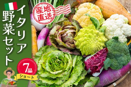 イタリア野菜セットショート 7品 【有機野菜 おまかせ野菜セット イタリア野菜 西洋野菜】(H078145)