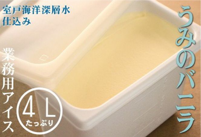うみのバニラ４L 業務用アイス　mt007
