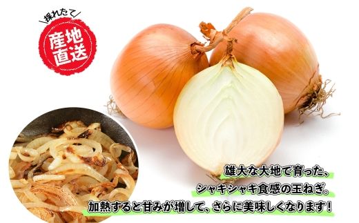 《期間限定》北海道 士幌産 たまねぎ 玉ねぎ タマネギ 玉ネギ 玉葱 10kg (2025年12月～発送開始予定)  採れたて オニオン 旬の野菜 期間限定 新鮮 野菜 産地直送 産直 お取り寄せ 送料無料 十勝 士幌町 9000円 【V07】