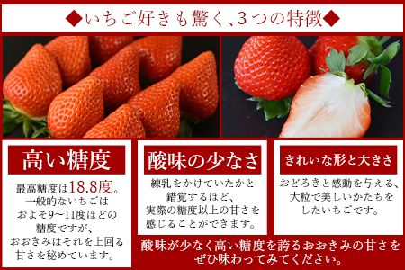 ＜高級いちご「おおきみ」（9～12粒×1パック約380g以上）＞2025年1月上旬～4月末迄に順次出荷【a0283_sn_x1】