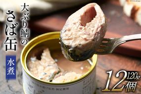 大ぶり鯖のさば缶 12缶セット 水煮 [モンマルシェ 宮城県 気仙沼市 20564038] 保存食 さば缶 サバ 鯖 缶詰 缶詰め さば味噌煮 サバ味噌煮 簡単調理 三陸