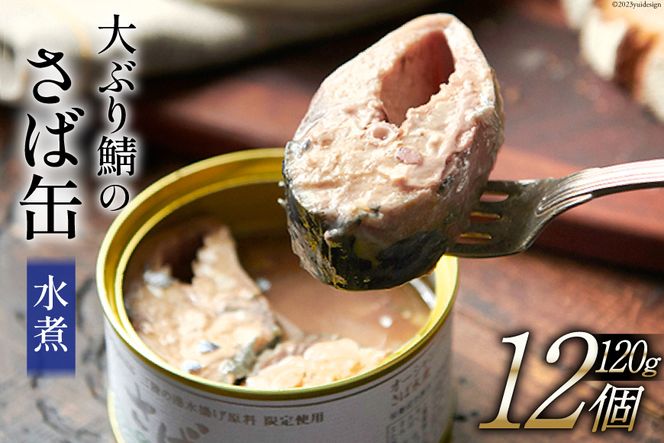 大ぶり鯖のさば缶 12缶 セット 水煮 [モンマルシェ 宮城県
