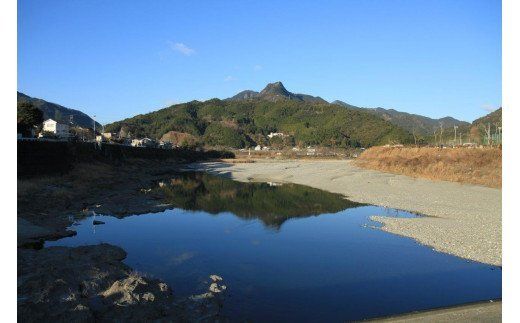 ymzmzzm񕍋iԗij5000~