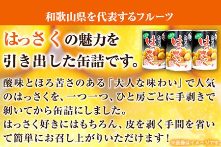 和歌山産 手剥き八朔 缶詰 450g×8缶入り 厳選館 《90日以内に出荷予定(土日祝を除く)》和歌山県 日高川町 はっさく 八朔---wshg_tmt127_90d_24_18000_8k---