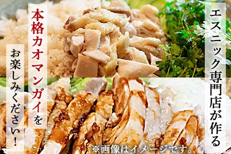 ＜たかお食堂の宮崎県産若鶏カオマンガイ 4食（420g×4）＞翌月末迄に順次出荷【a0464_tk】