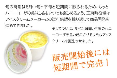 ハニーローザアイスクリーム 120ml×8個《30日以内に出荷予定（土日祝除く）》熊本県 玉東町 ぷらっとぎょくとう ハニーローザ アイスクリーム すもも スイーツ お菓子---sg_fhoneyrosa_30d_24_14000_960ml---