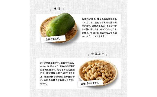 野菜 産直 おすず村 厳選詰め合わせセット（大）【 旬野菜 フルーツ 直売所 産地直送 宮崎県産 】☆[G3803]