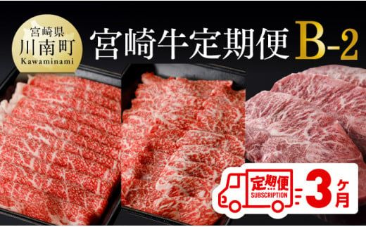 [定期便]宮崎牛3ヶ月定期便B-2[ 国産 九州産 肉 牛 宮崎県産 牛肉 黒毛和牛 ミヤチク 全3回 ][D00678t3]