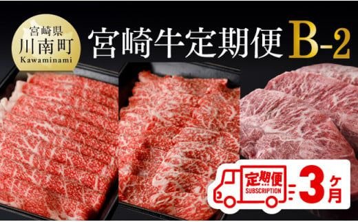 [定期便]宮崎牛3ヶ月定期便B-2[ 国産 九州産 肉 牛 宮崎県産 牛肉 黒毛和牛 ミヤチク 全3回 ][D0674t32]