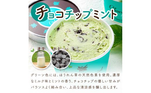 ミントジェラート カップ 3種×4個 ( ジェラート アイス アイスクリーム ハッカ チョコ ミント ミントアイス スイーツ チョコチップミント カカオ カップアイス ふるさと納税 )【007-0018】