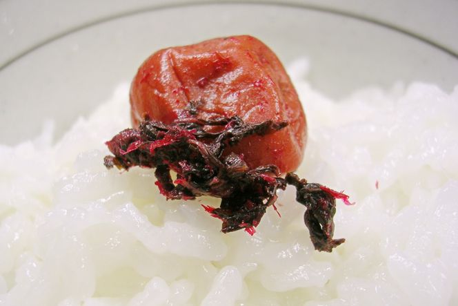 梅干し かつお梅 500g [山梨農産食品 山梨県 韮崎市 20743524] 梅干 うめぼし 梅 漬物 つけもの 鰹 かつお カツオ