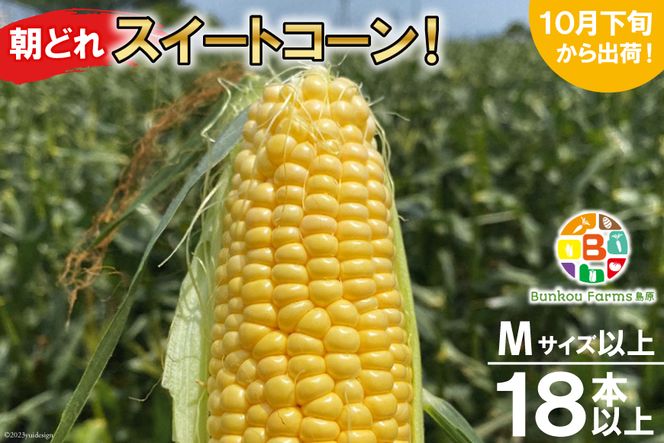 �y���茧�����s�zBF109 10�����{����o�ׁI�u���ǂ�X�C�[�g�R�[���I�vM�T�C�Y�ȏ�×18�{�ȏ�y�S���I�ɂ��������H�G�o�ׁz