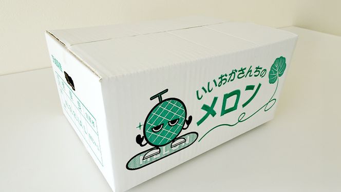 【 令和8年産 】【 先行予約 】クラリスメロン 秀品 1箱 3玉～5玉入り 飯岡 メロン クラリス 青肉 果物 フルーツ 甘い [CG003ya]