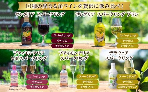 缶ワイン 欲張り10種 飲み比べセット モンデ酒造 10本 177-4-043