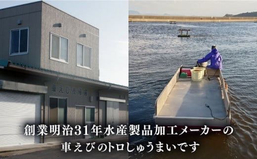 深江町漁協産車えび　車えび トロSURIMI しゅうまい（１０ヶ入）/ 南島原市 / 三ツ池 [SCK003] 