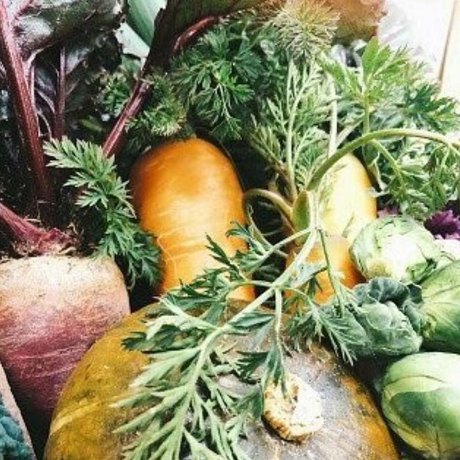 自然栽培や地元野菜・グラノーラ300g×1個・乾燥野菜やドライフルーツ1個