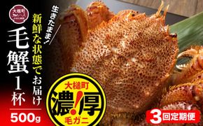 【令和7年発送】【3回定期便】三陸産！活毛ガニ 500g相当×1杯(1尾) 【2025年2月～4月発送】【配送日指定不可】【0tsuchi01302】【08】