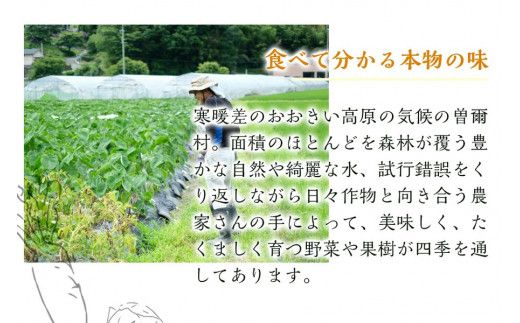 【定期便】2026年6月発送開始 野菜5種5品6ヶ月定期便 /// 奈良県 野菜 野菜セット 定期便 核家族 小さめセット 月1配送 予約 おすすめ 野菜定期便