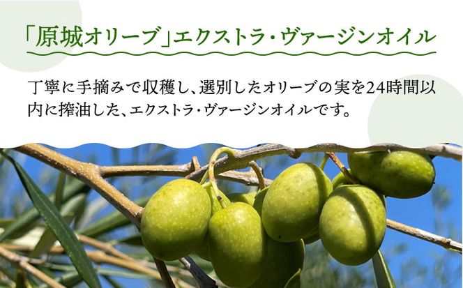 【3回定期便】 原城 オリーブ エクストラ・ヴァージンオイル 100ml 3本 / オリーブオイル オイル 油 調味料 / 南島原市 / ミナサポ [SCW057]