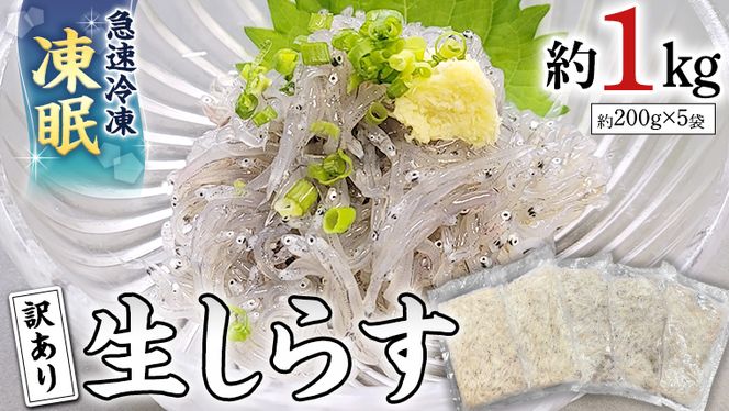 y錧㒬zyz Ⓚ 炷 1kg y󂠂z 炷 VX VX VN VR   CN Y hg ^pbN 󂠂  [AU131ya]