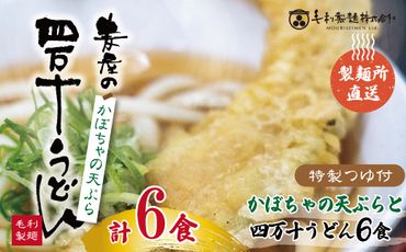 R5-796．【数量限定】四万十うどんとカボチャの天ぷら６食セット