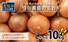 【予約：2024年10月中旬から順次発送】日本一の玉ねぎ生産地！信田農園の玉ねぎ 10kg   Lサイズ ( 信田農園 野菜 玉ねぎ 玉葱 たまねぎ タマネギ 10キロ 北見のたまねぎ オニオン 野菜 甘い  ふるさと納税 )【124-0006-2024】