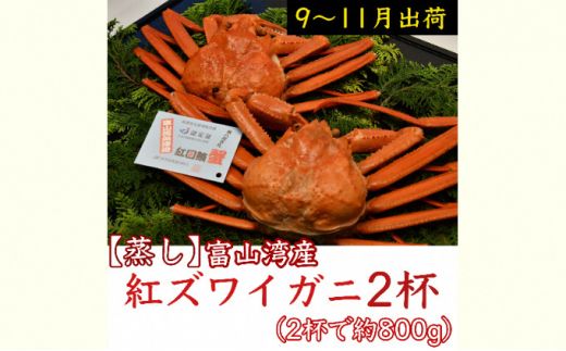 【9-11月出荷】蒸し紅ズワイガニ 2杯 ｜ 甲殻類 海の幸 海鮮 蒸し加工 水揚げ 後すぐ 旨味 凝縮 晩酌 お酒 お供 あて 肴 つまみ 富山県産 魚津市産 ※2024年9月下旬～11月下旬頃に順次発送予定 ※北海道・沖縄・離島への配送不可