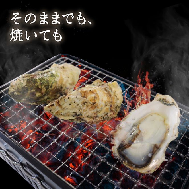 生食用 殻付冷凍牡蠣 5個 ほや 180g×2袋 セット  [taiko001]