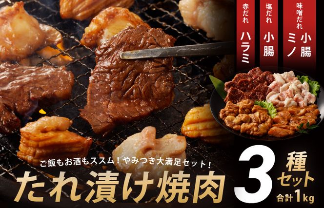 G1770 アキラ商店 3種盛り合わせセット 合計 1kg【焼肉用ホルモン 牛肉 ハラミ ミノ 小腸 焼くだけ 小分け BBQ やきにく 数量限定】