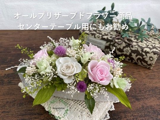 yʌtszAJ068-1 vU[uht[AWy~j/sNzts VK[pC