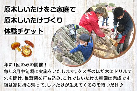 原木しいたけづくり体験チケット(昼食付) 1名様 桃源郷はなしの里 岡山県矢掛町《30日以内に出荷予定(土日祝除く)》---iosy_togensitake_30d_22_17500_1p---