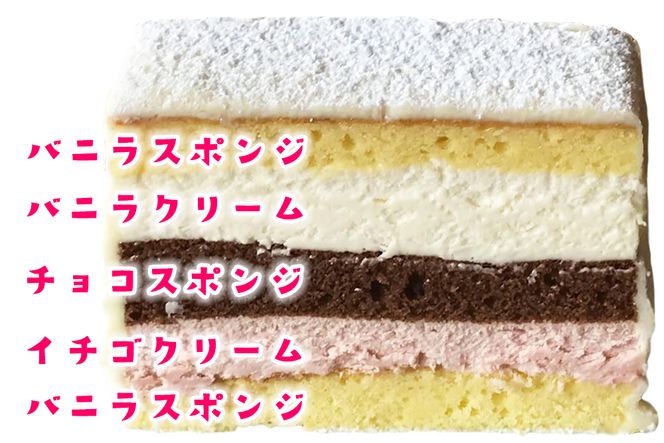 白いレンガ Lサイズ (4～5人用) くせになる美味しさのショコラケーキ [0399]