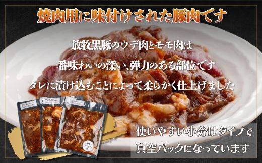 鹿追産 自然放牧黒豚ジンギスカンセット SKN002