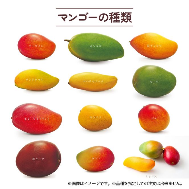 冷凍 完熟 マンゴー 500g 小分け パック 国産 フルーツ 果物 デザート スイーツ 数量限定  オンライン決裁 限定 静岡県 藤枝市