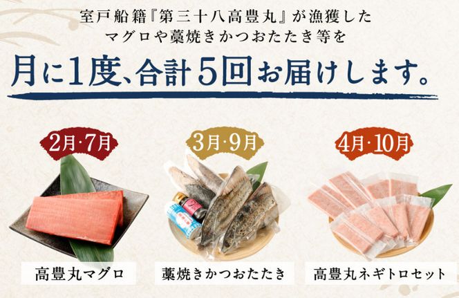 定期便 年5回 海からの贈り物！マグロとカツオのお楽しみセット まぐろ マグロ カツオのたたき ネギトロ  刺身 海産物 魚介類 鮪 まぐろたたき 鰹 魚 高知 海鮮 冷凍 訳あり 不揃い 故郷納税 10万円 ５回 送料無料 室戸 all tk006!