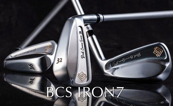 1200BE01N.Fujimoto_BCS iron(7set) 65