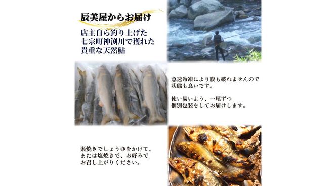 ※岐阜県産天然鮎七宗町産(18cm以上) ※2026年6月より順次発送予定