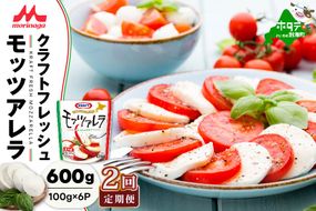 【定期便】森永乳業 モッツァレラチーズ 600g(100g×6P) × 2ヵ月【全2回】