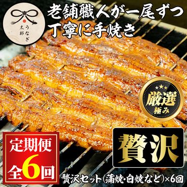 【3003704b】＜定期便・全6回(初回1月発送)＞鹿児島県産うなぎの贅沢セット(蒲焼き・白焼き・きざみ鰻など)【うなぎ太郎】